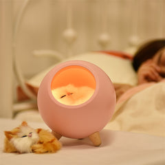 LED Cat Night Light, Gift For Teen Girls, Boys Bedside Lamp